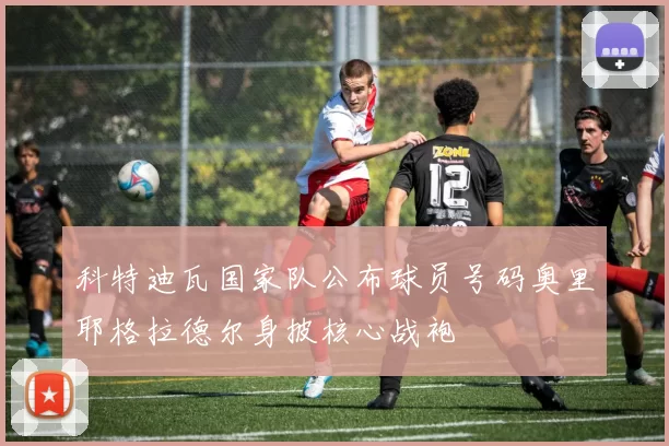 科特迪瓦国家队公布球员号码奥里耶格拉德尔身披核心战袍