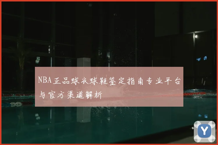 NBA正品球衣球鞋鉴定指南专业平台与官方渠道解析